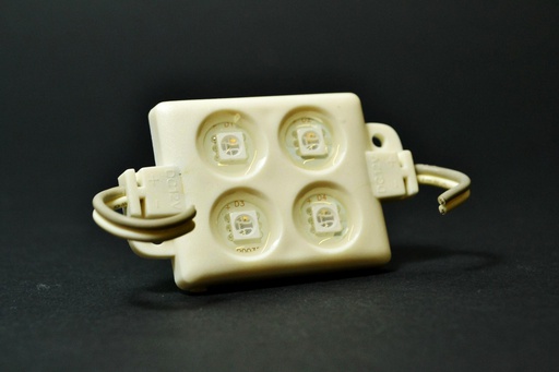 [L-MOD4WP-W] MODULO 4 LED SMD BLANCO FRIO 12V SUMERGIBLE